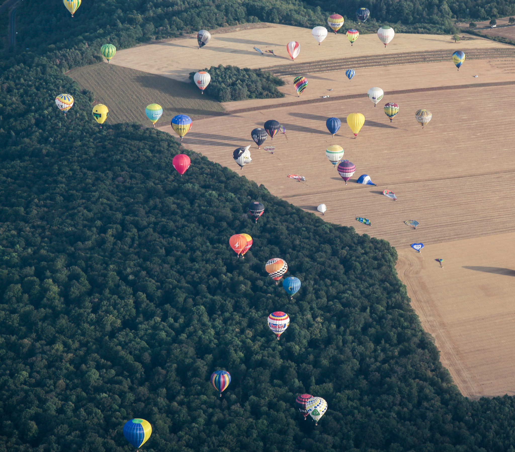 _MG_8050 (2)