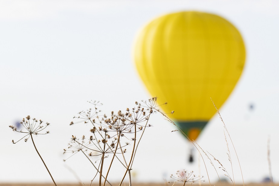 Le ballon appartient à ceux qui se lèvent tôt