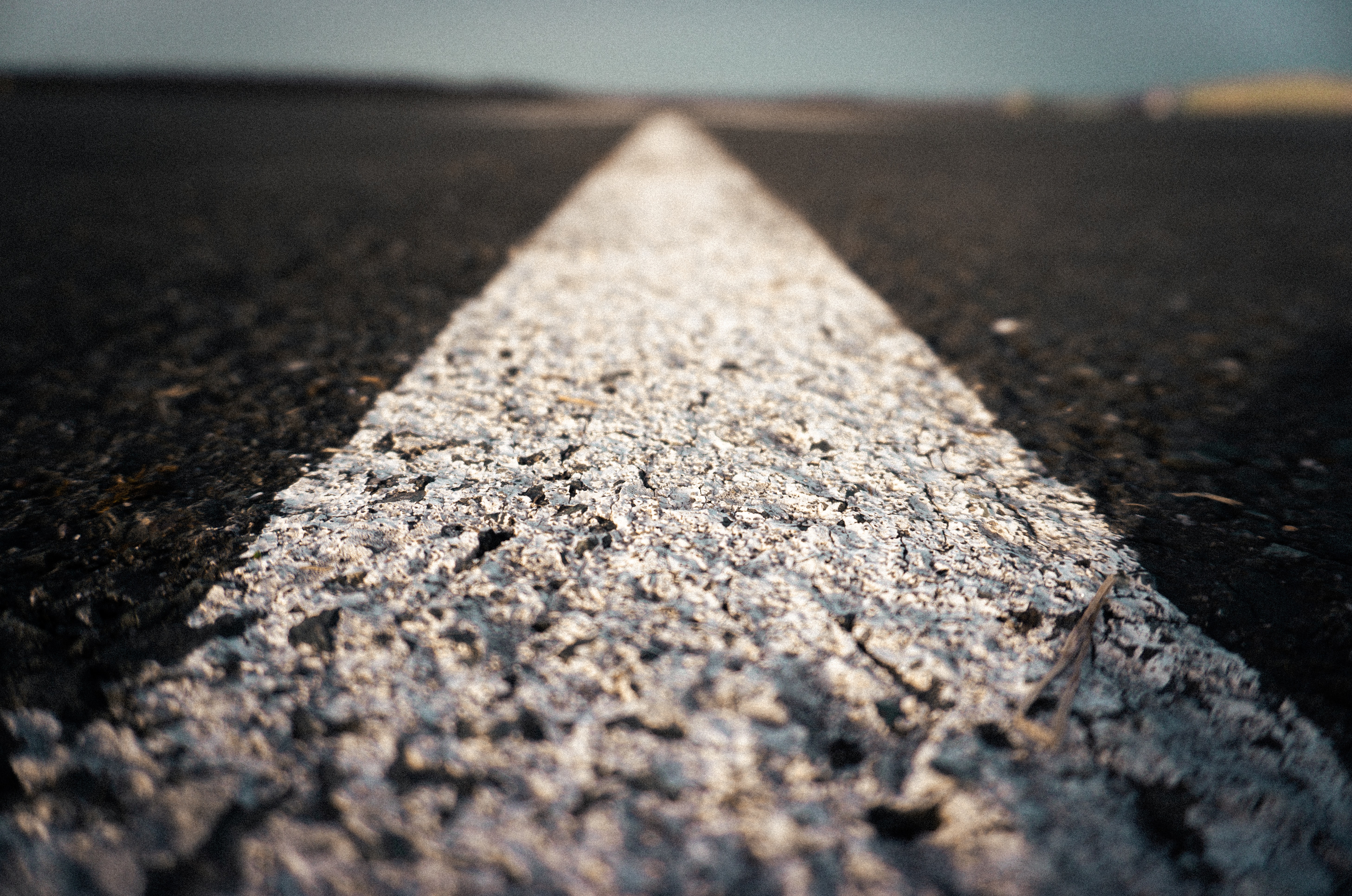 sindy-sussengut-yFaN1AEMcBA-unsplash